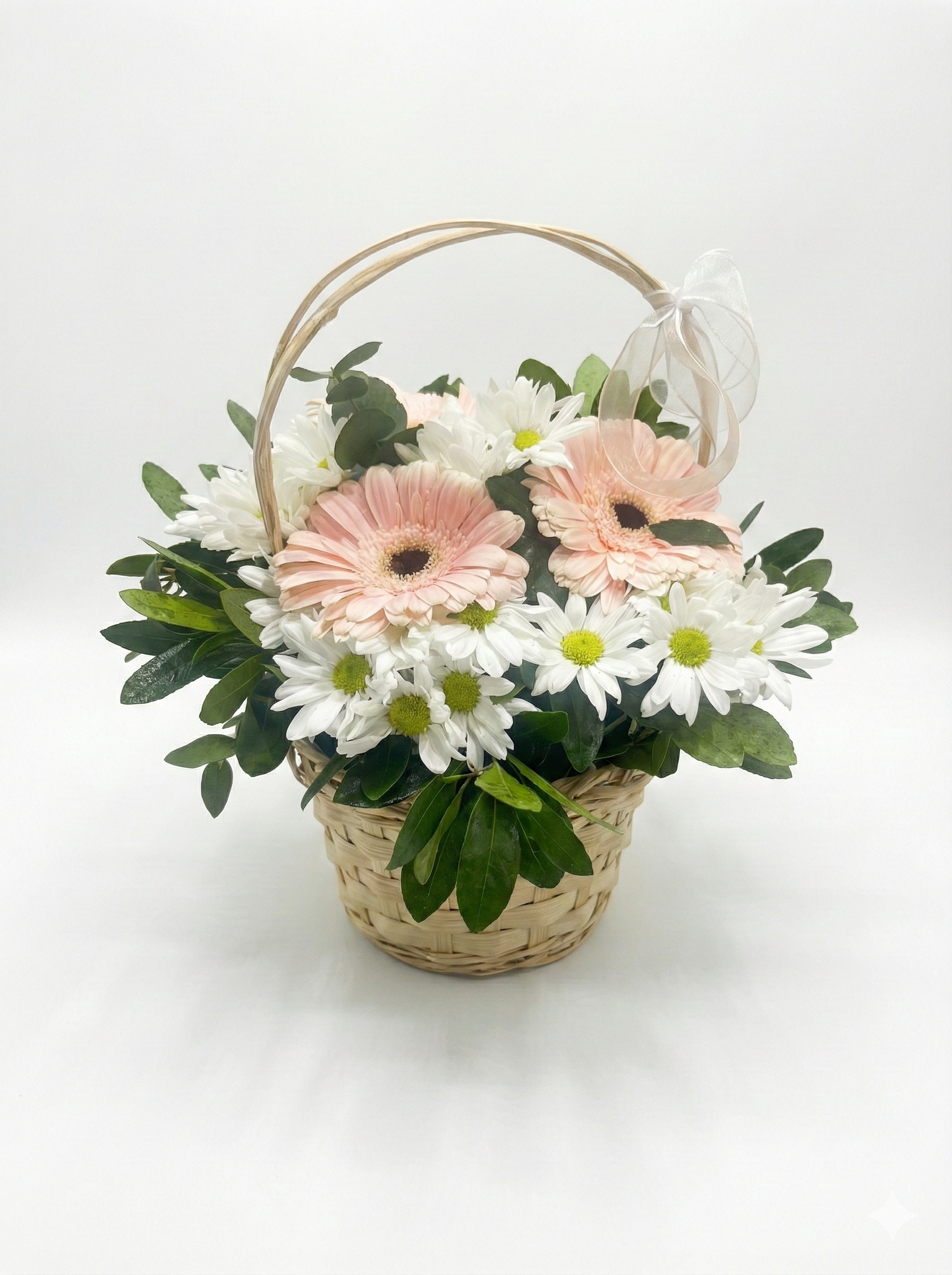 Saksıda Papatya ve Cerbera - Naturel Çiçekçilik